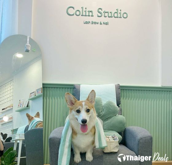 Colin Studio